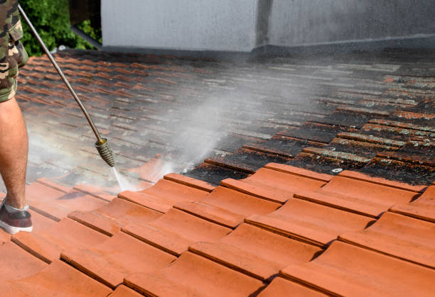Best Local Pressure Washing Services  in Brownsville, FL