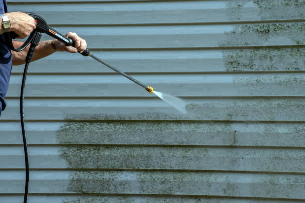 Best Pressure Washing Company Near Me  in Brownsville, FL