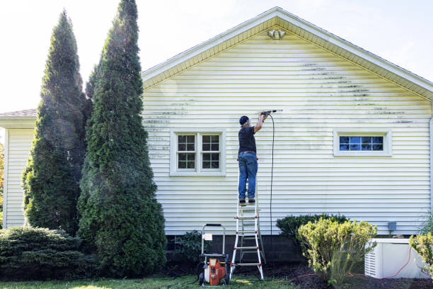 Best Sidewalk Pressure Washing  in Brownsville, FL