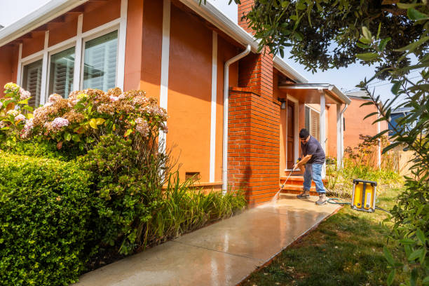 Best House Pressure Washing  in Brownsville, FL