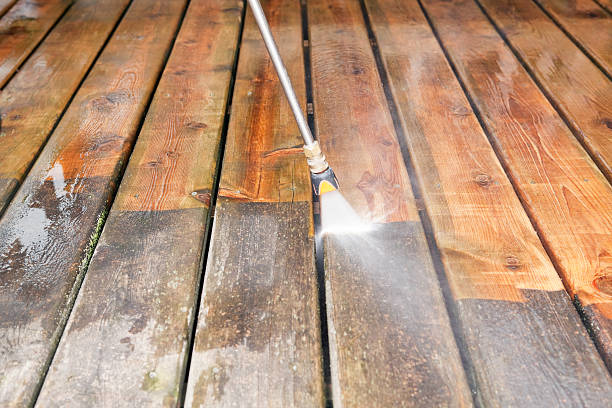 Best Affordable Pressure Washing  in Brownsville, FL