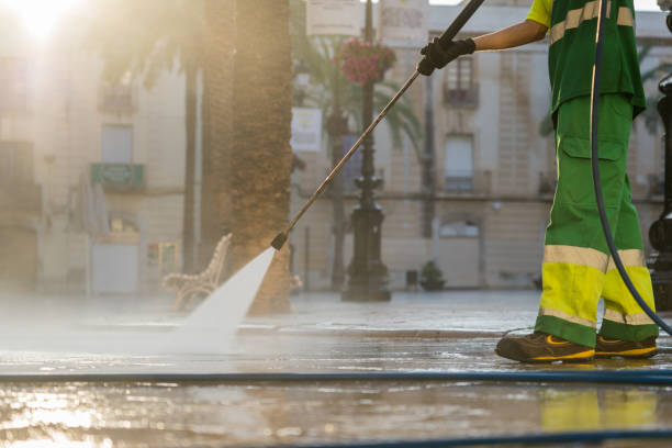 Best House Pressure Washing  in Brownsville, FL