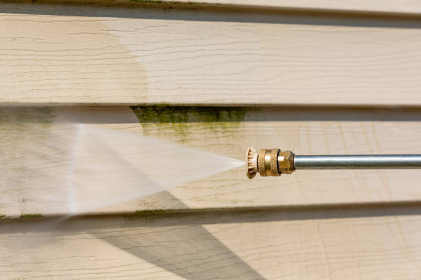 Best Exterior Home Cleaning  in Brownsville, FL