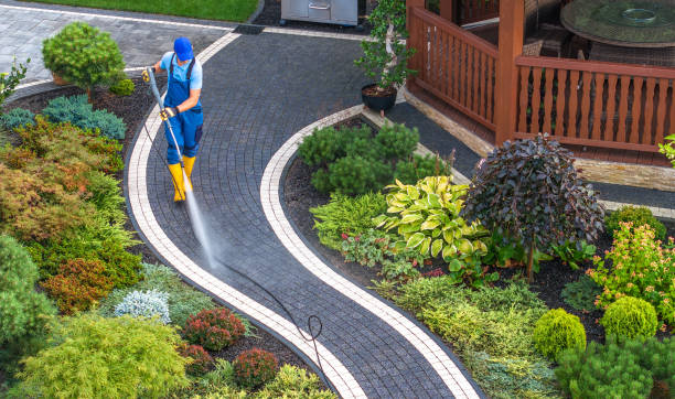 Best Pressure Washing Siding  in Brownsville, FL