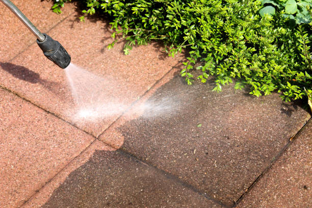 Best Pressure Washing Near Me  in Brownsville, FL